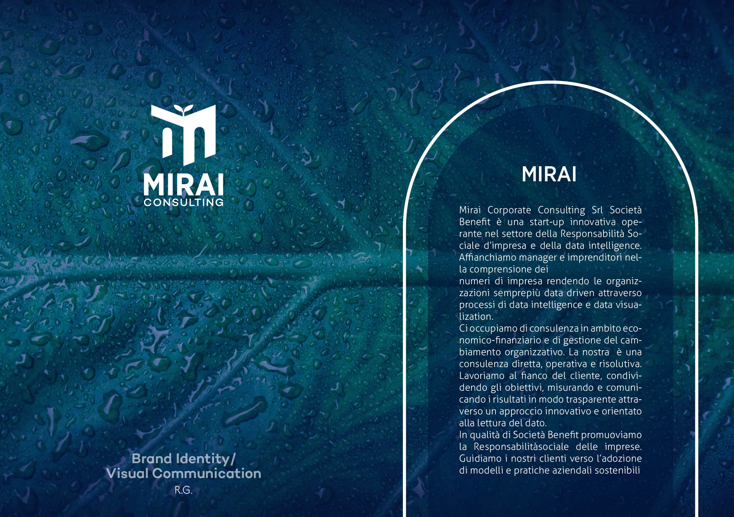 Pagina 2 del portfolio di Riccardo Guerrucci